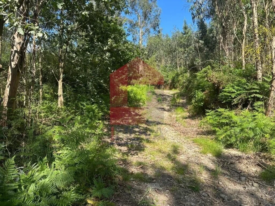 Terreno para Venda em Carreiras (São Miguel) e Carreiras (Santiago) Foto 14