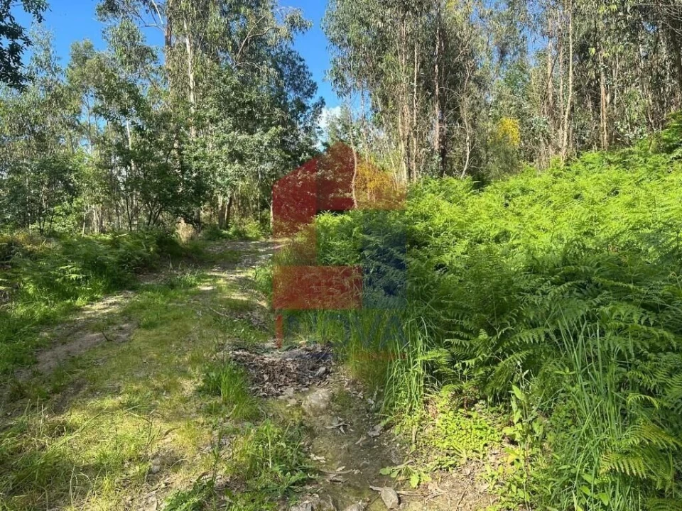 Terreno para Venda em Carreiras (São Miguel) e Carreiras (Santiago) Foto 18