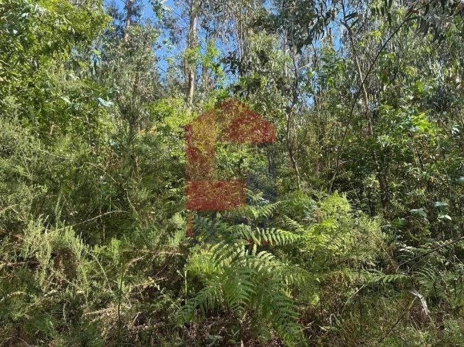 Terreno para Venda em Carreiras (São Miguel) e Carreiras (Santiago) Foto 10