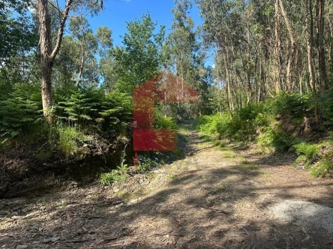Terreno para Venda em Carreiras (São Miguel) e Carreiras (Santiago) Foto 20