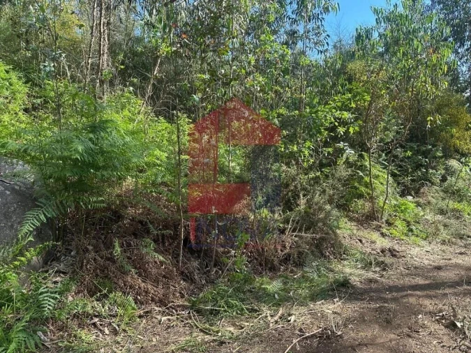 Terreno para Venda em Carreiras (São Miguel) e Carreiras (Santiago) Foto 13