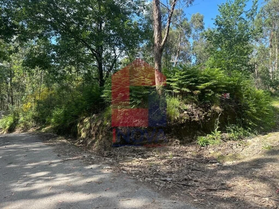 Terreno para Venda em Carreiras (São Miguel) e Carreiras (Santiago) Foto 21