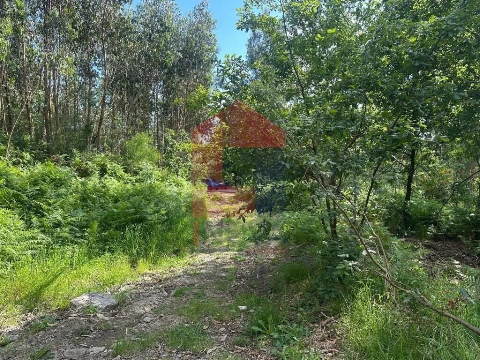 Terreno para Venda em Carreiras (São Miguel) e Carreiras (Santiago) Foto 15