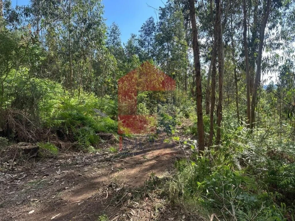 Terreno para Venda em Carreiras (São Miguel) e Carreiras (Santiago) Foto 8