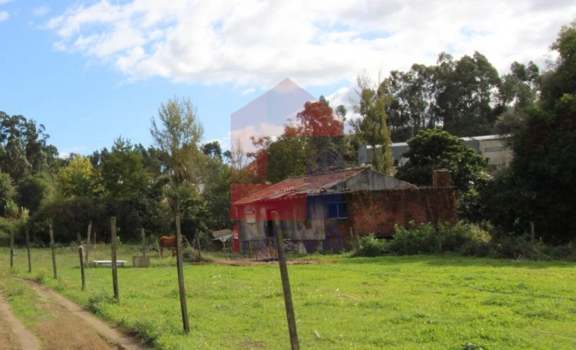 Quinta T0 para Venda em Esqueiros, Nevogilde e Travassós Foto 1