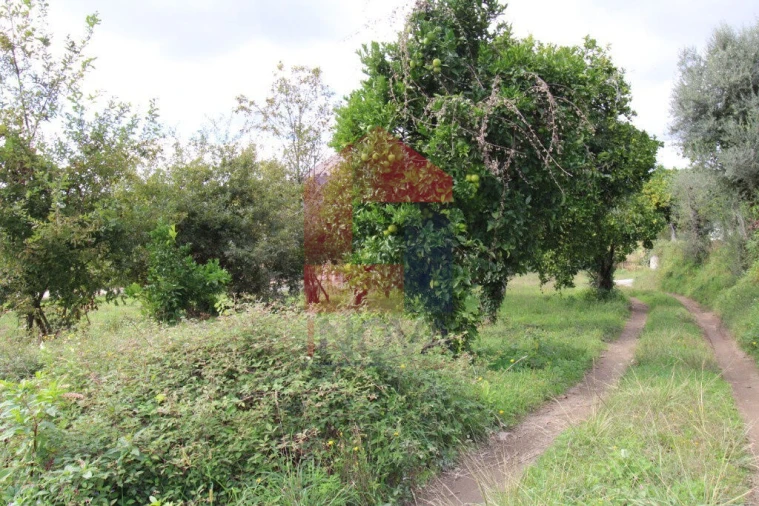 Quinta T0 para Venda em Esqueiros, Nevogilde e Travassós Foto 6