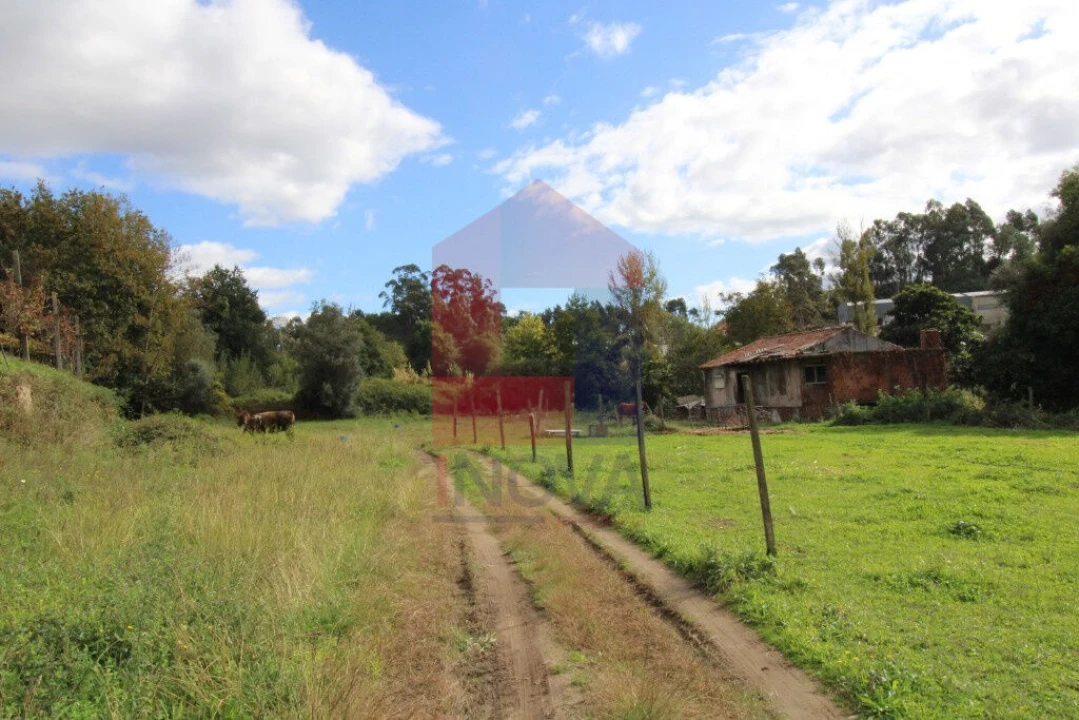 Quinta T0 para Venda em Esqueiros, Nevogilde e Travassós Foto 5