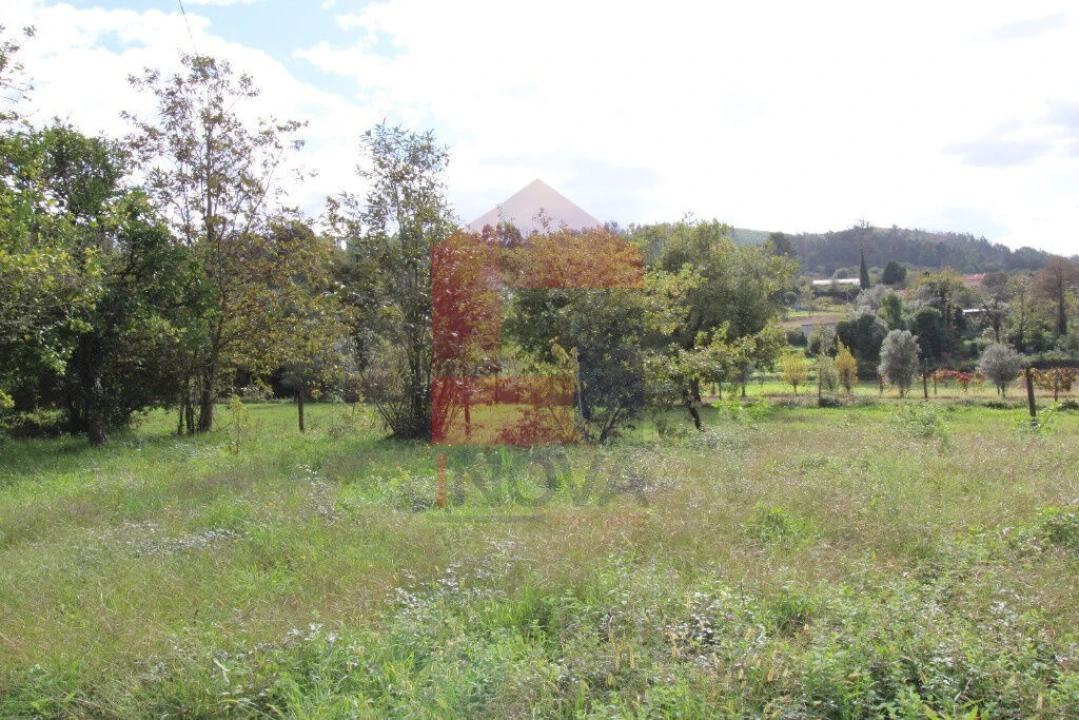 Quinta T0 para Venda em Esqueiros, Nevogilde e Travassós Foto 3
