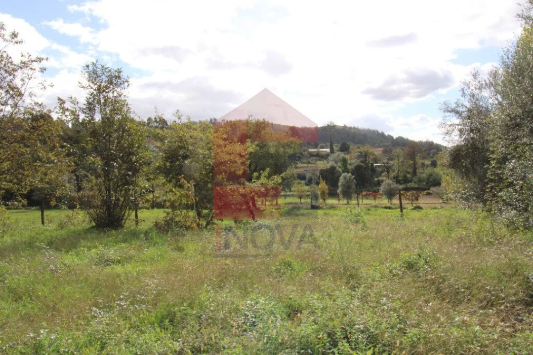 Quinta T0 para Venda em Esqueiros, Nevogilde e Travassós Foto 4