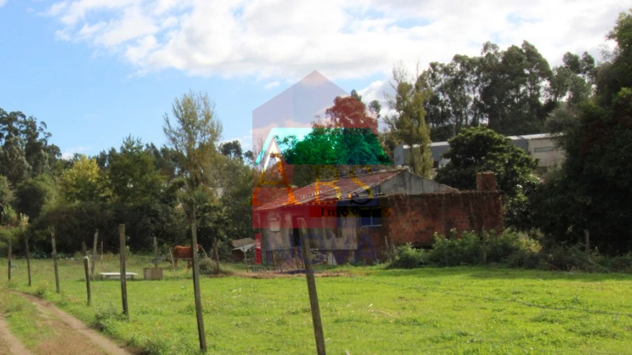 Quinta T0 para Venda em Esqueiros, Nevogilde e Travassós