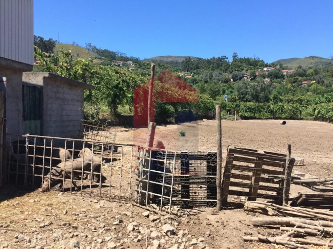 Terreno para Venda em Valbom (São Pedro), Passô e Valbom (São Martinho) Foto 6