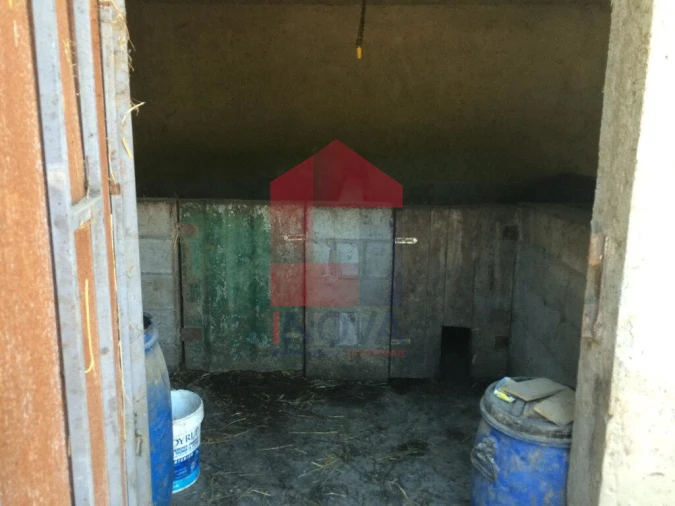 Terreno para Venda em Valbom (São Pedro), Passô e Valbom (São Martinho) Foto 8