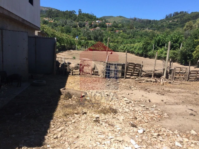 Terreno para Venda em Valbom (São Pedro), Passô e Valbom (São Martinho) Foto 5