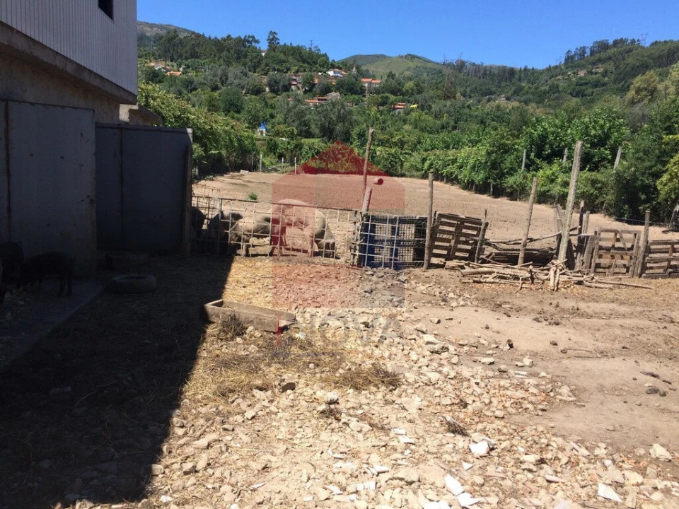 Terreno para Venda em Valbom (São Pedro), Passô e Valbom (São Martinho) Foto 5