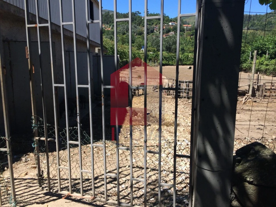 Terreno para Venda em Valbom (São Pedro), Passô e Valbom (São Martinho) Foto 4