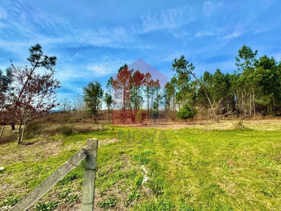 Terreno para Venda em Sande, Vilarinho, Barros e Gomide Foto 13