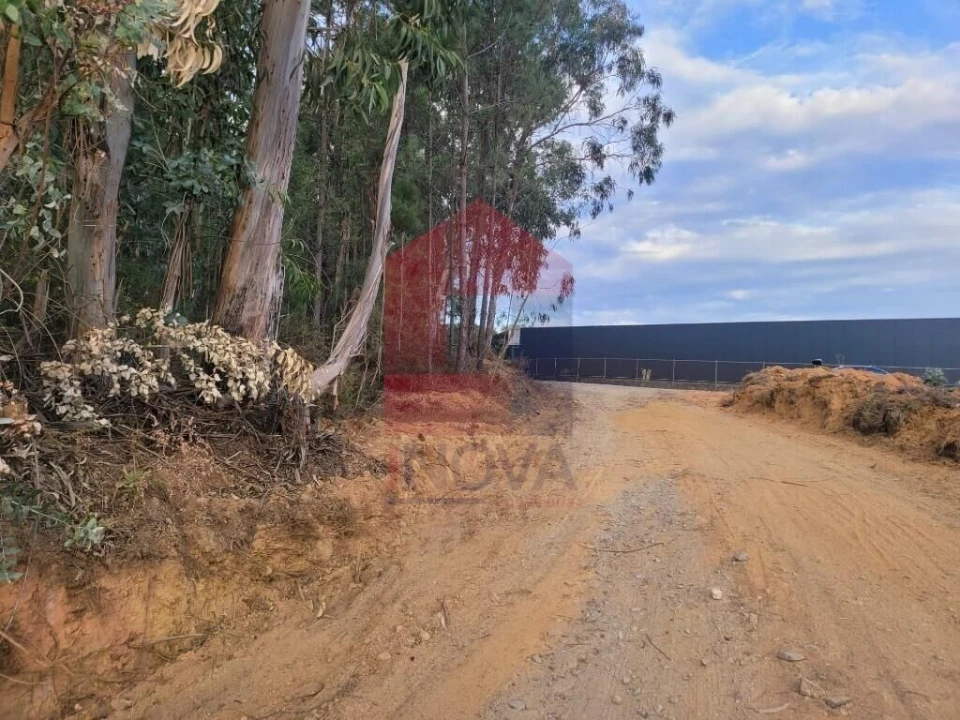 Terreno para Venda em Escariz (São Mamede) e Escariz (São Martinho) Foto 19