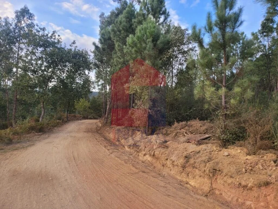 Terreno para Venda em Escariz (São Mamede) e Escariz (São Martinho) Foto 20