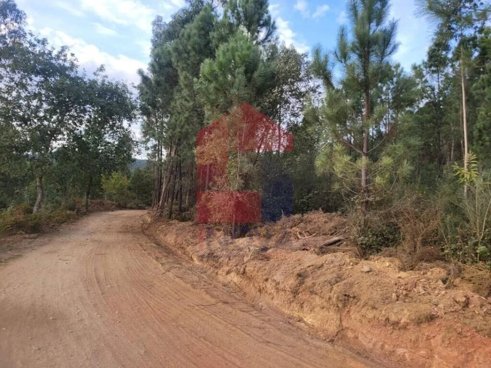 Terreno para Venda em Escariz (São Mamede) e Escariz (São Martinho) Foto 10