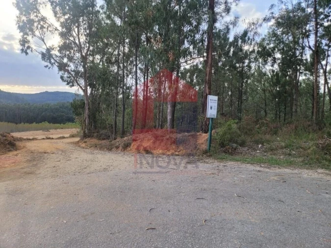 Terreno para Venda em Escariz (São Mamede) e Escariz (São Martinho) Foto 21