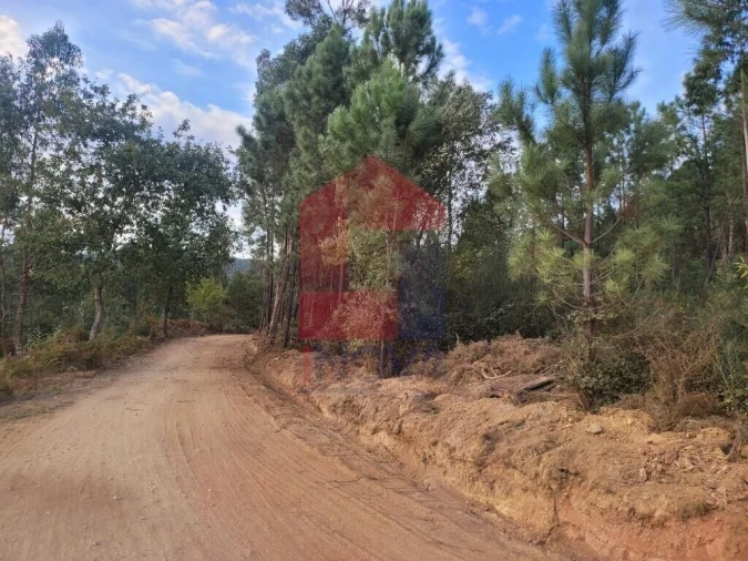 Terreno para Venda em Escariz (São Mamede) e Escariz (São Martinho) Foto 16