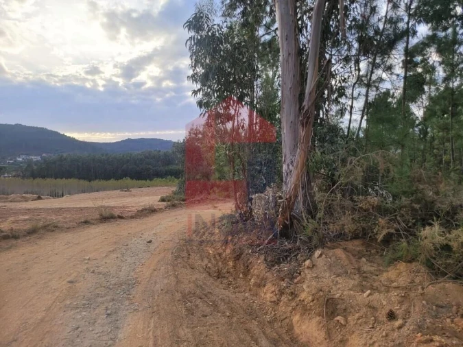Terreno para Venda em Escariz (São Mamede) e Escariz (São Martinho) Foto 18