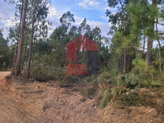Terreno para Venda em Escariz (São Mamede) e Escariz (São Martinho) Foto 1