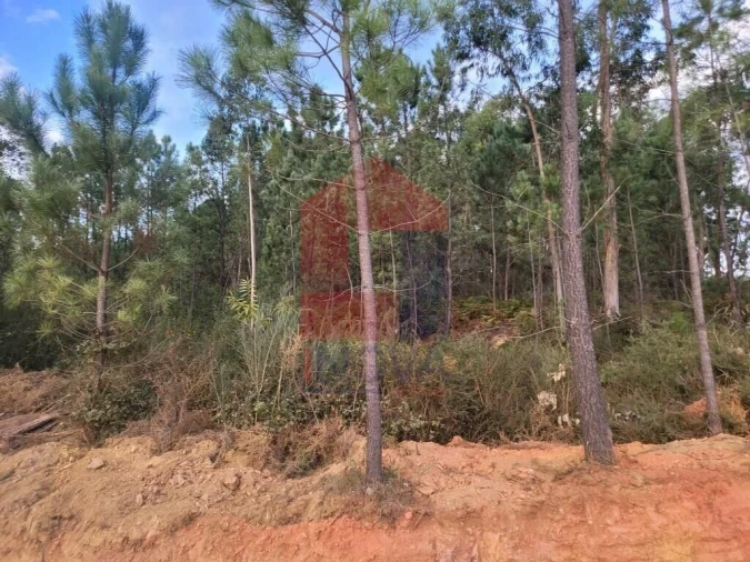 Terreno para Venda em Escariz (São Mamede) e Escariz (São Martinho) Foto 4