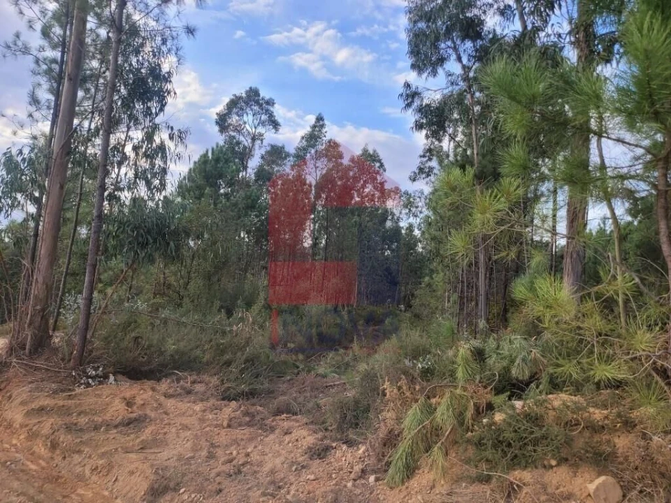 Terreno para Venda em Escariz (São Mamede) e Escariz (São Martinho) Foto 9