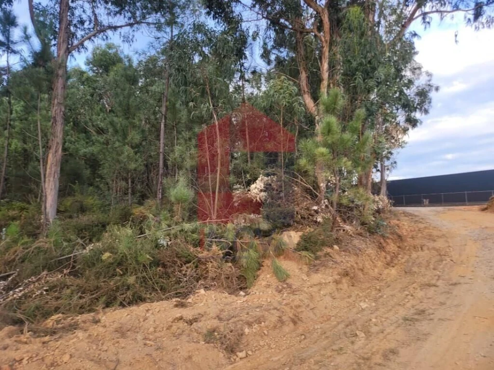 Terreno para Venda em Escariz (São Mamede) e Escariz (São Martinho) Foto 3