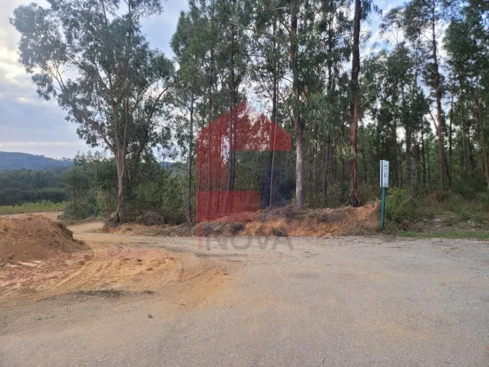 Terreno para Venda em Escariz (São Mamede) e Escariz (São Martinho) Foto 7
