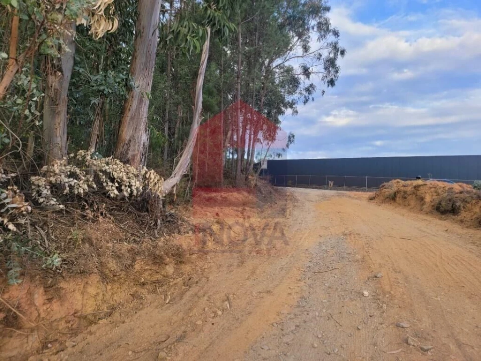 Terreno para Venda em Escariz (São Mamede) e Escariz (São Martinho) Foto 13