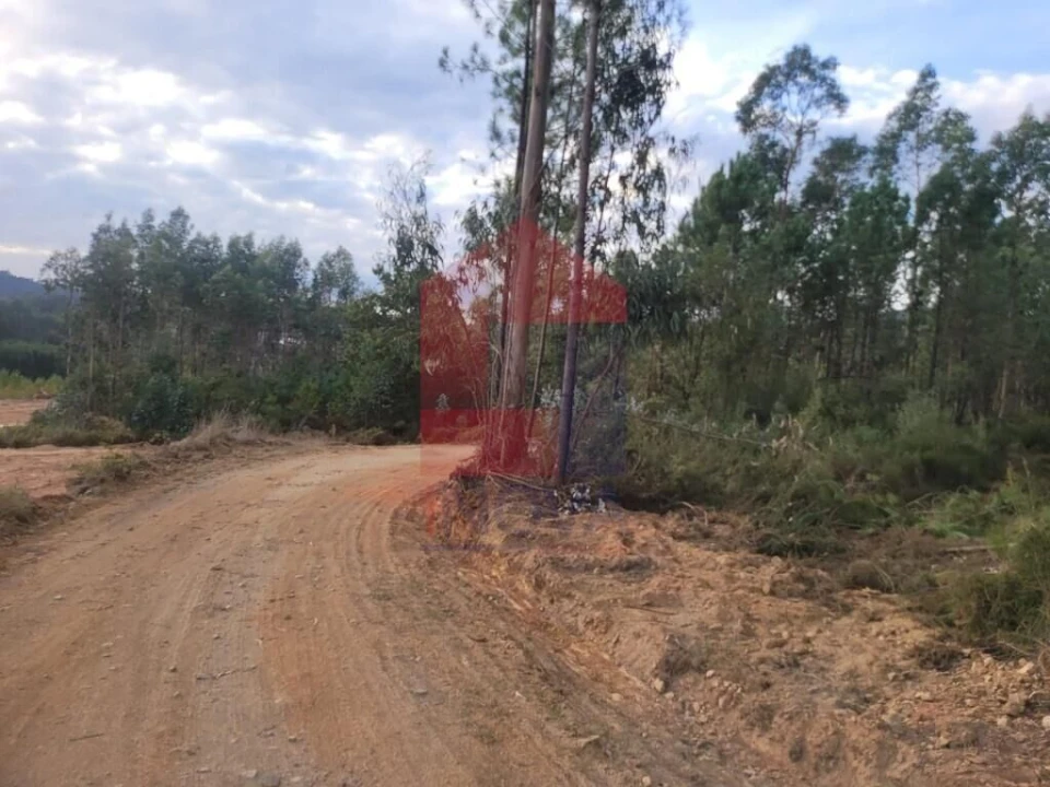 Terreno para Venda em Escariz (São Mamede) e Escariz (São Martinho) Foto 15