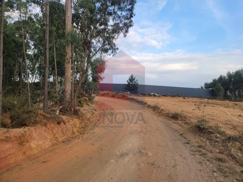 Terreno para Venda em Escariz (São Mamede) e Escariz (São Martinho) Foto 5