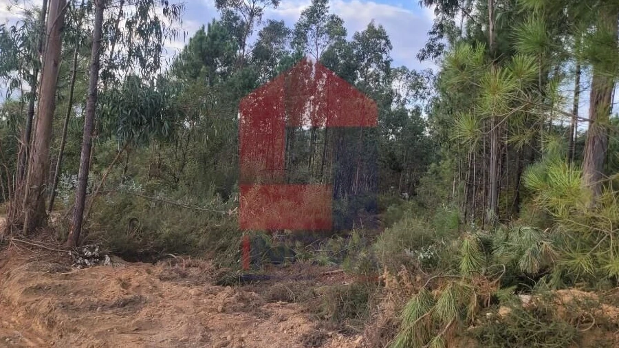 Terreno para Venda em Escariz (São Mamede) e Escariz (São Martinho)