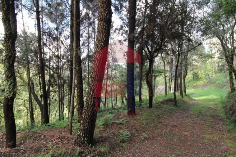 Moradia T4 para Venda em Carreiras (São Miguel) e Carreiras (Santiago) Foto 62