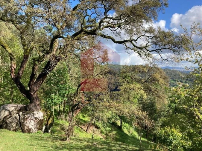 Moradia T4 para Venda em Carreiras (São Miguel) e Carreiras (Santiago) Foto 54