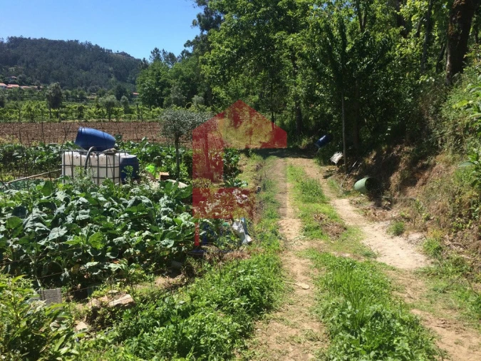 Terreno para Venda em Sande, Vilarinho, Barros e Gomide Foto 5