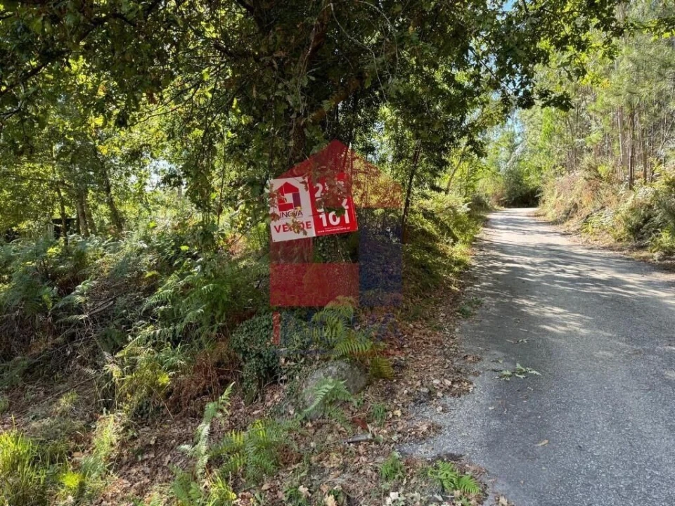 Quinta T0 para Venda em Pico de Regalados, Gondiães e Mós Foto 16