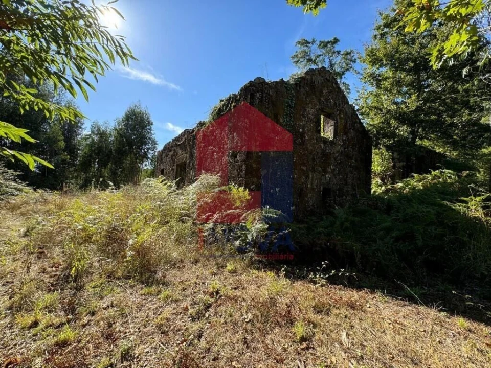 Quinta T0 para Venda em Pico de Regalados, Gondiães e Mós Foto 5