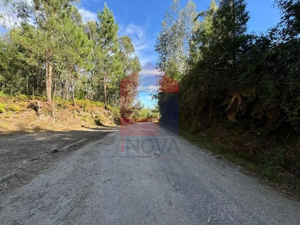 Quinta T0 para Venda em Pico de Regalados, Gondiães e Mós Foto 21