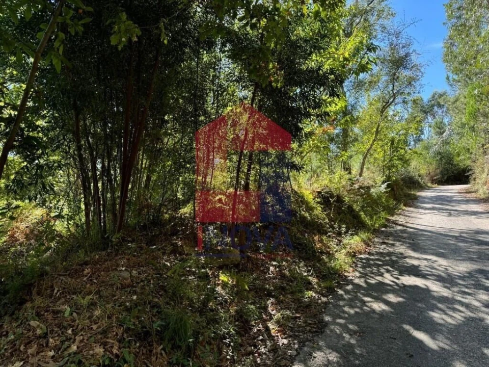 Quinta T0 para Venda em Pico de Regalados, Gondiães e Mós Foto 19