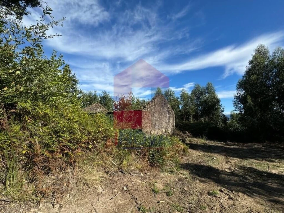 Quinta T0 para Venda em Pico de Regalados, Gondiães e Mós Foto 8