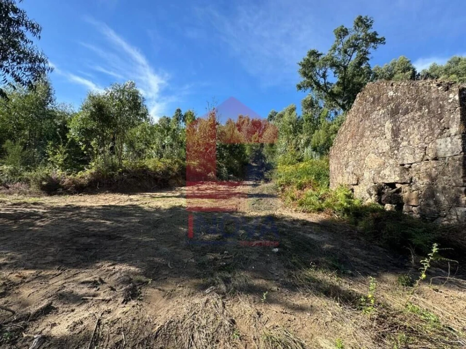 Quinta T0 para Venda em Pico de Regalados, Gondiães e Mós Foto 3