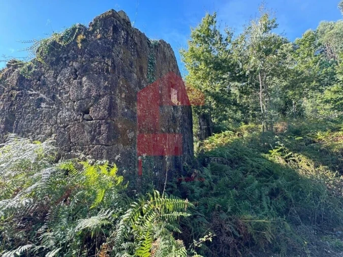 Quinta T0 para Venda em Pico de Regalados, Gondiães e Mós Foto 2