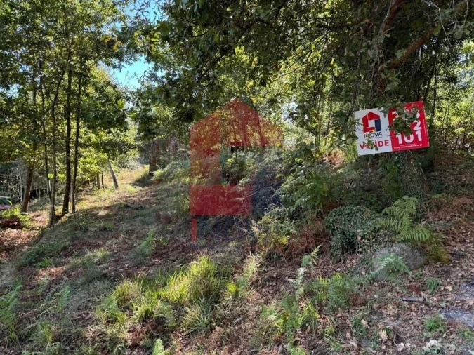 Quinta T0 para Venda em Pico de Regalados, Gondiães e Mós Foto 6