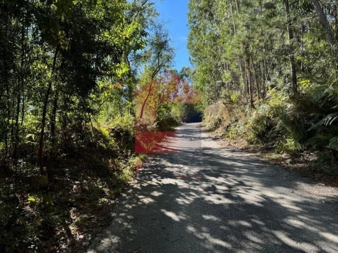 Quinta T0 para Venda em Pico de Regalados, Gondiães e Mós Foto 18