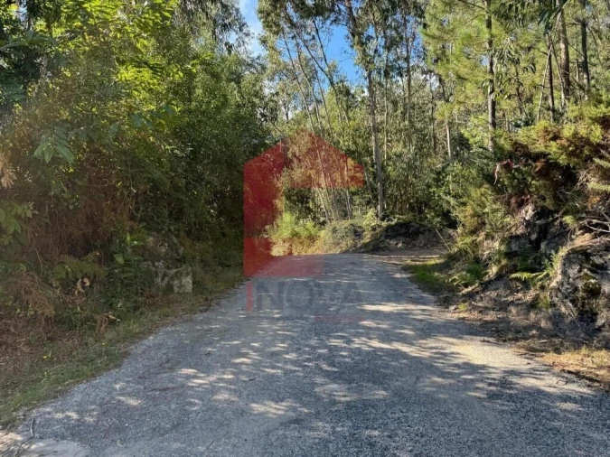 Quinta T0 para Venda em Pico de Regalados, Gondiães e Mós Foto 24