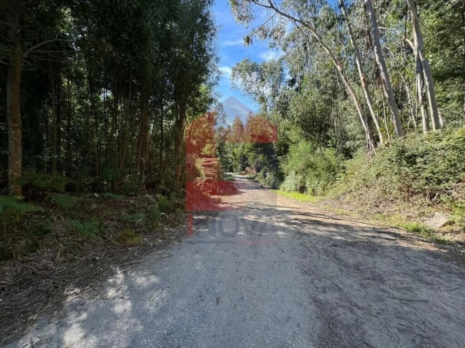 Quinta T0 para Venda em Pico de Regalados, Gondiães e Mós Foto 22