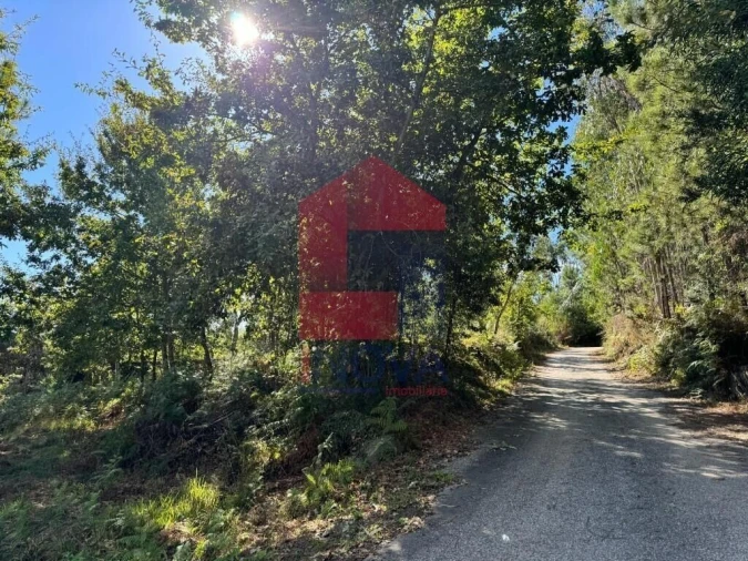 Quinta T0 para Venda em Pico de Regalados, Gondiães e Mós Foto 17